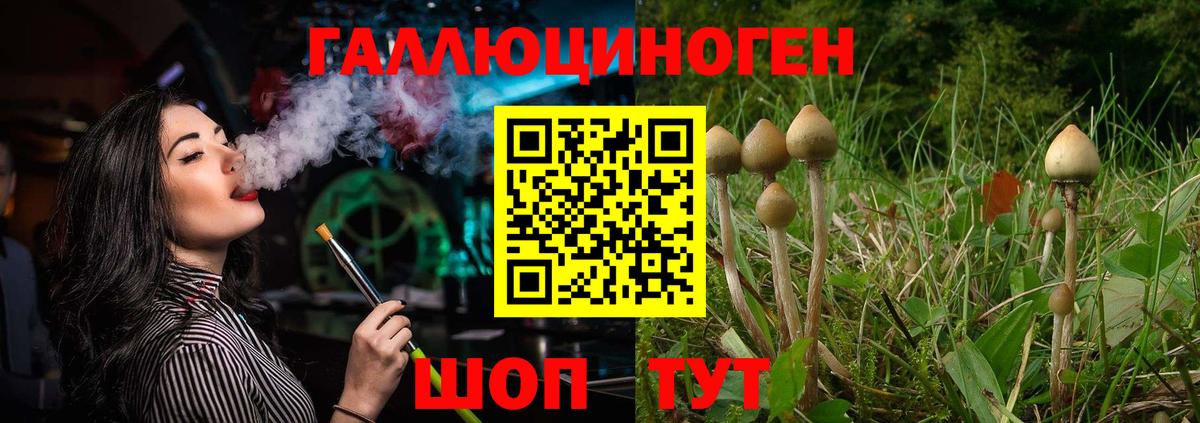 Джанкой  Псилоцибиновые грибы мицелий  Вход с VPN  Псилоцибиновые грибы Psilocybe 